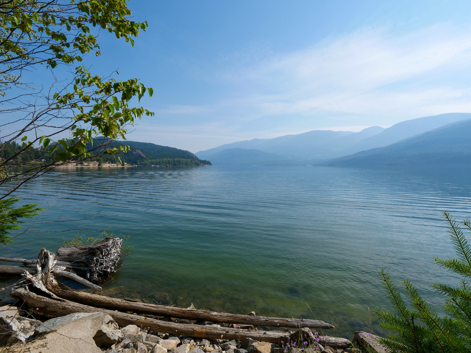 Arrow Lakeshore Acreage Edgewood, BC LandQuest® Realty
