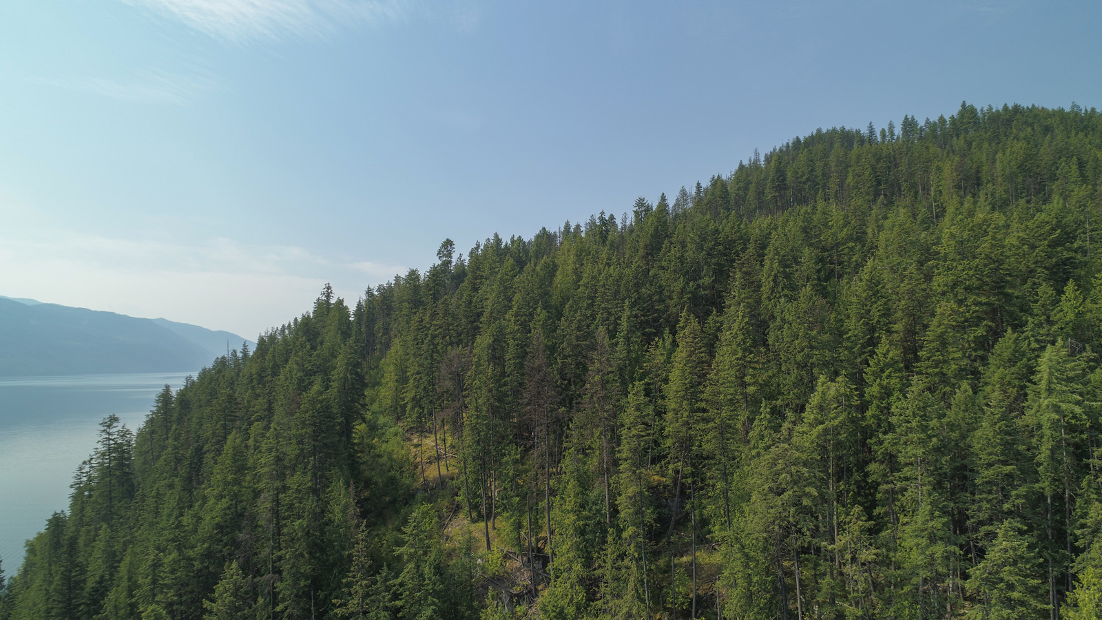 Arrow Lakeshore Acreage Edgewood, BC LandQuest® Realty