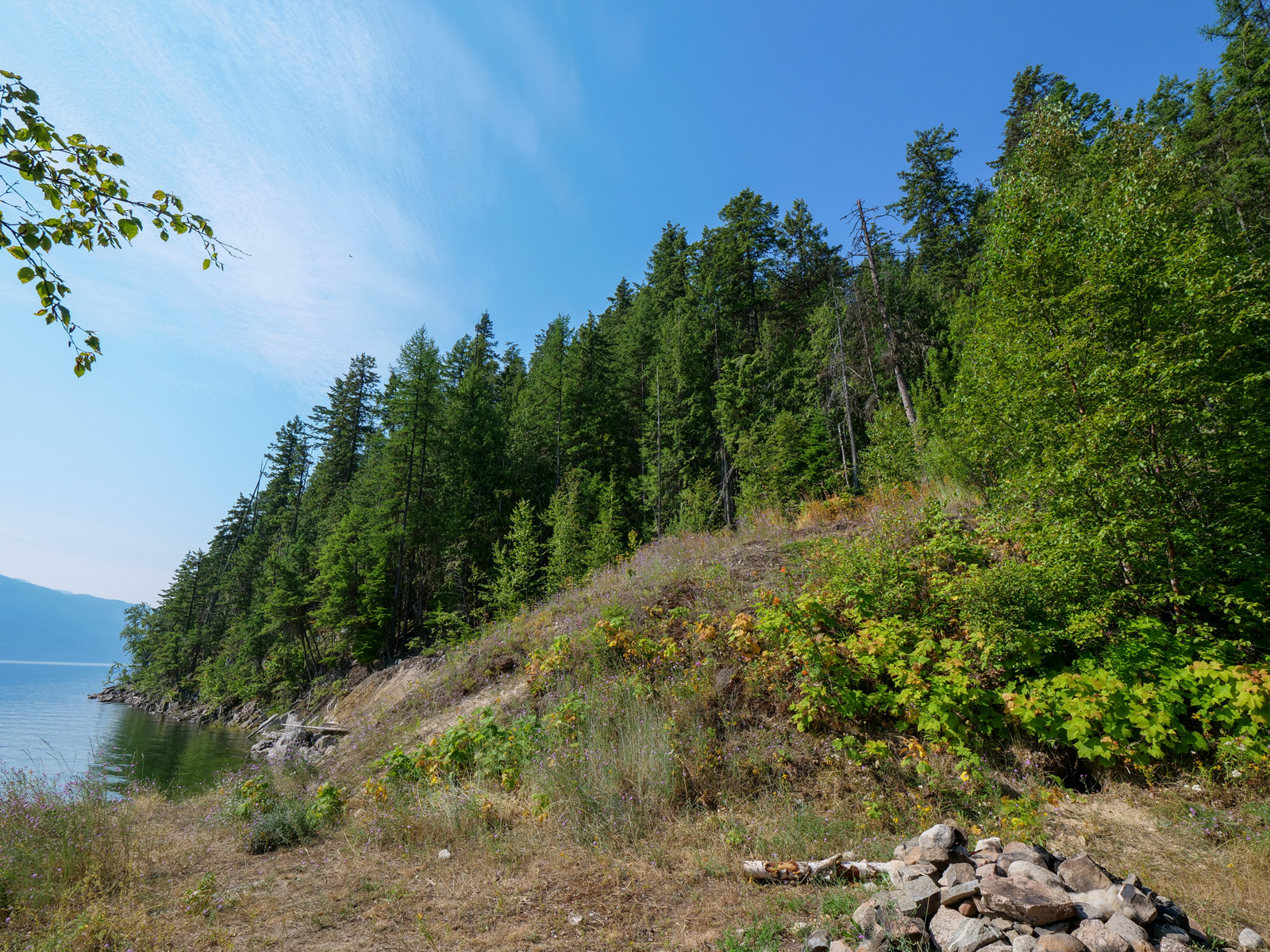 Arrow Lakeshore Acreage Edgewood, BC LandQuest® Realty