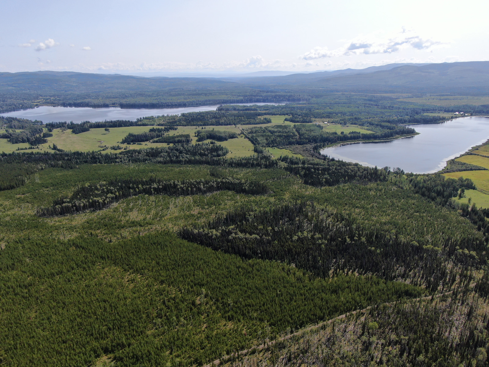 Recreational Lots with Services Available in the Desirable Region of