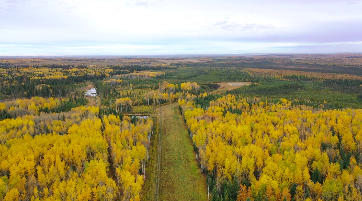 793 Acre Recreational/Hunting Property with Ample Wildlife Fort St