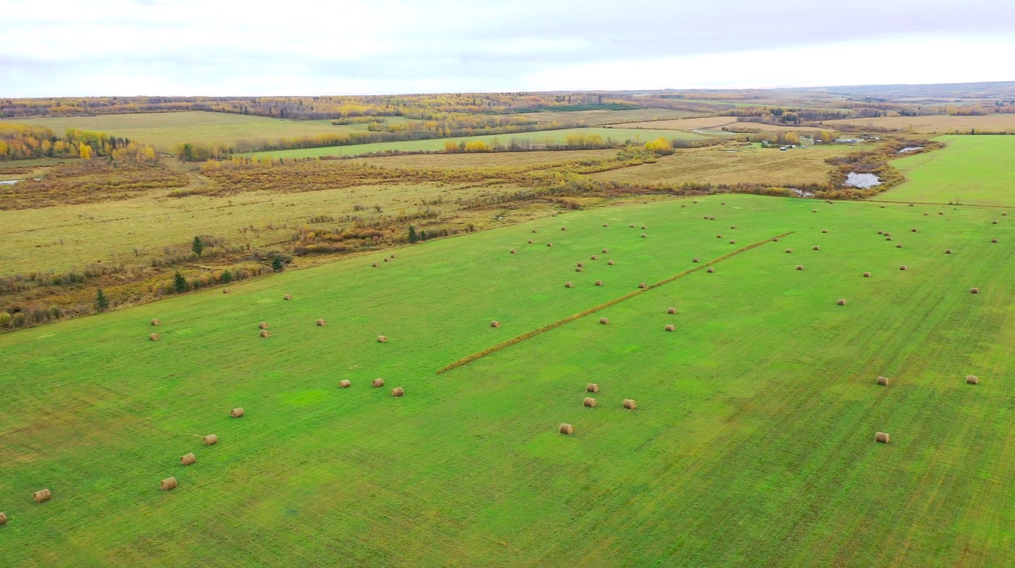 Affordable 160 Agricultural Acres in a Bucolic Farm Setting Fort St