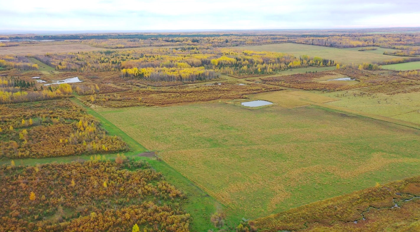 Affordable 160 Agricultural Acres in a Bucolic Farm Setting Fort St