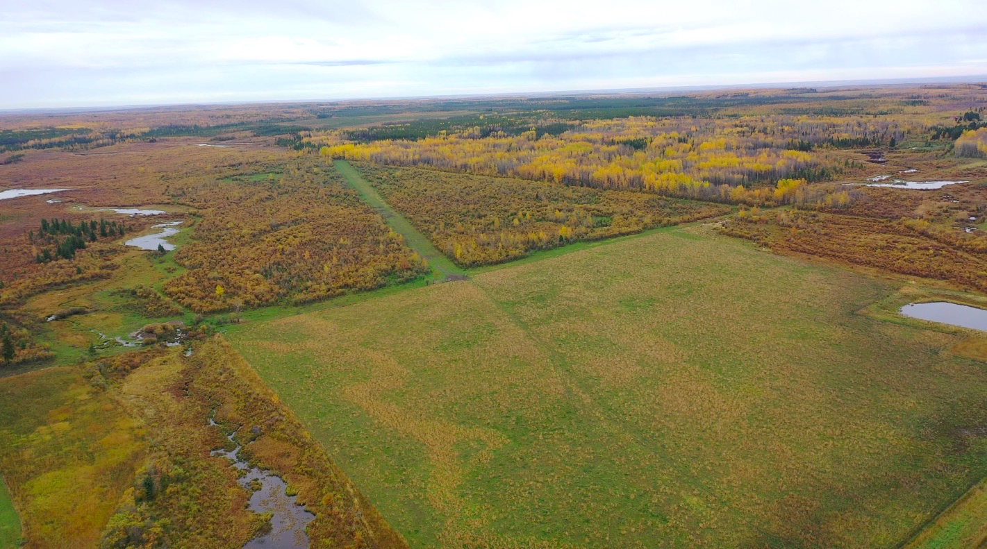 Affordable 160 Agricultural Acres in a Bucolic Farm Setting Fort St