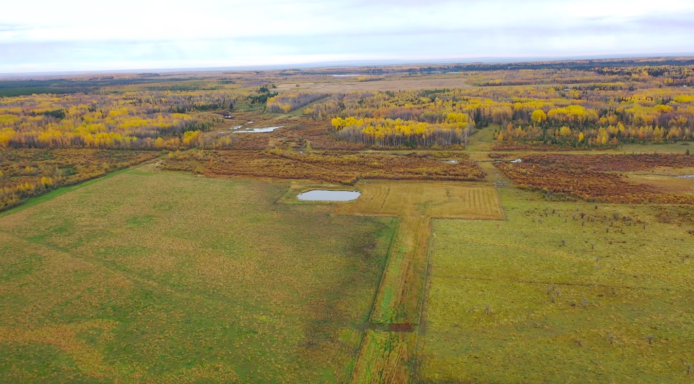 Affordable 160 Agricultural Acres in a Bucolic Farm Setting Fort St