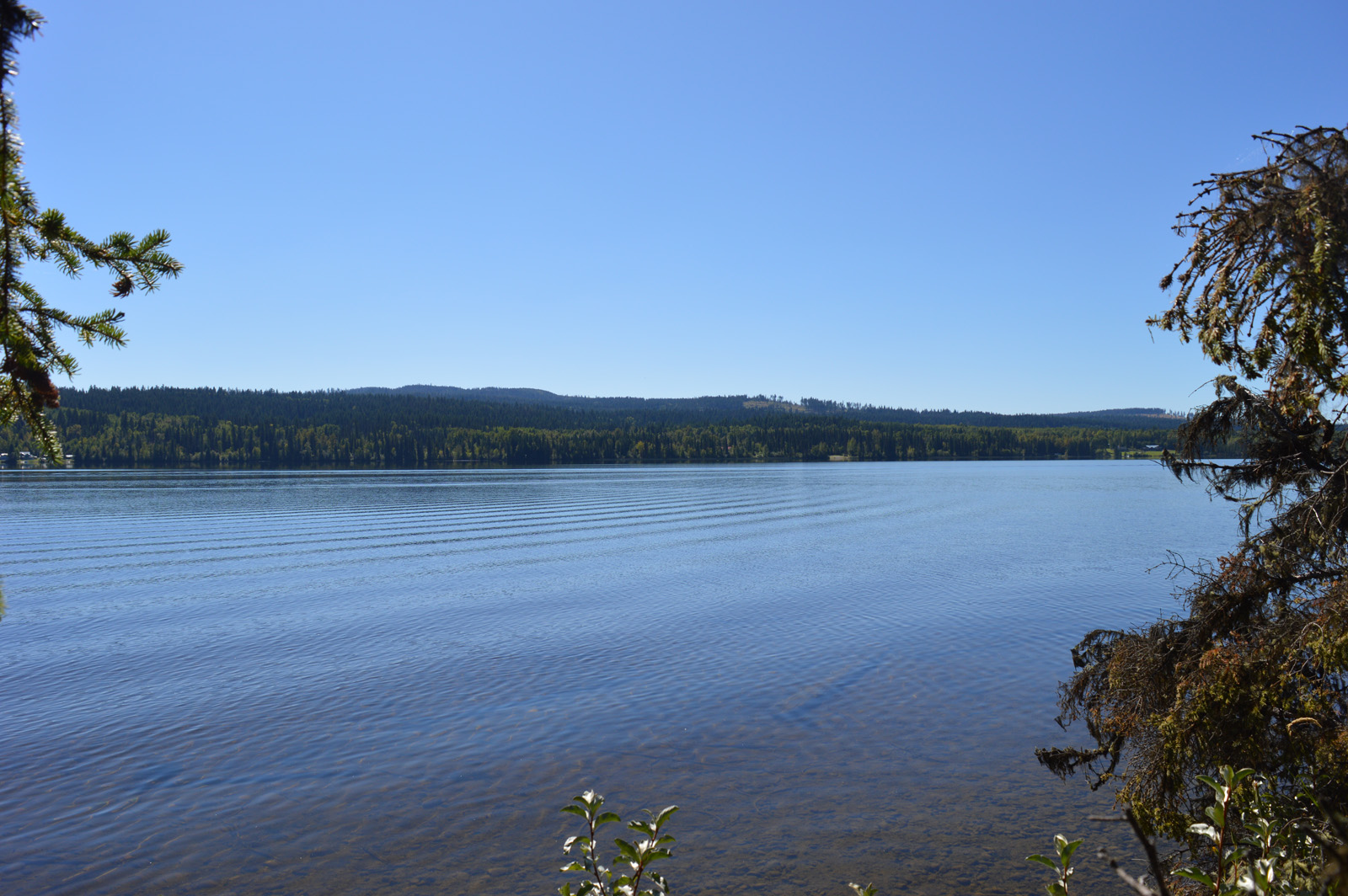 Affordable and Scenic 5 Acre Lot with Lake Frontage on Big Lake Big