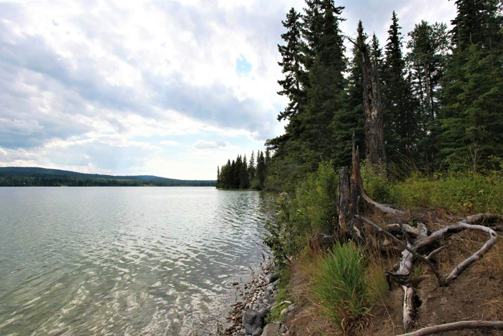 Affordable and Scenic 5 Acre Lot with Lake Frontage on Big Lake Big