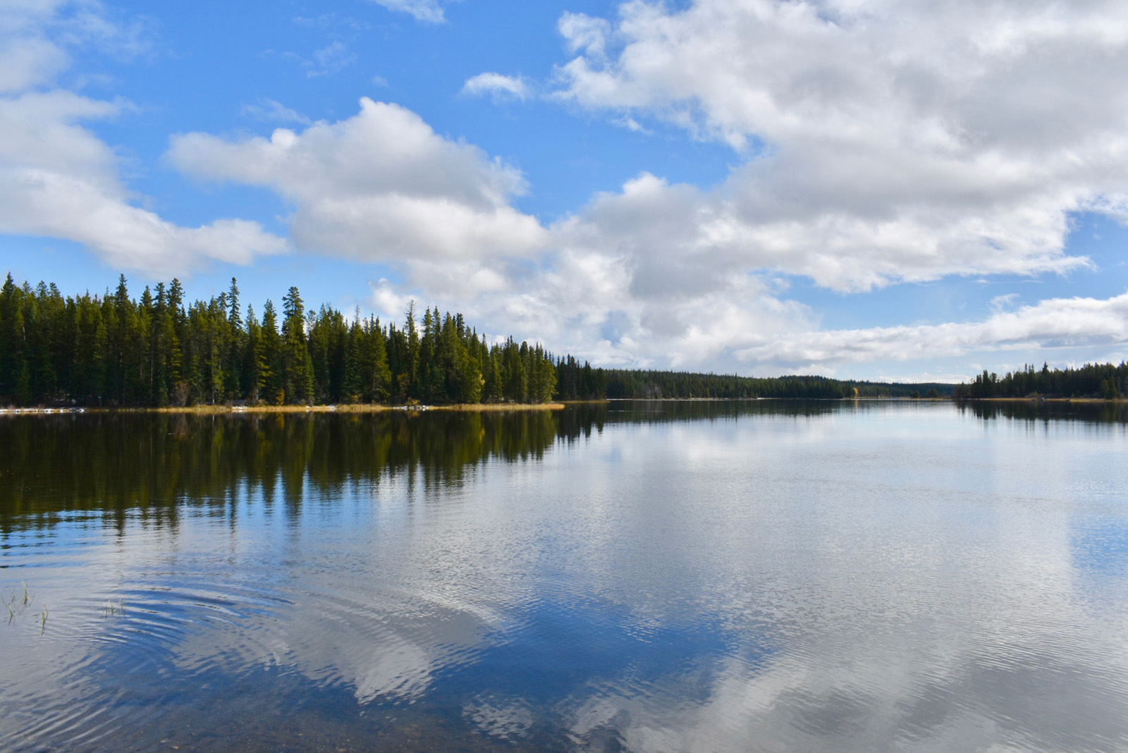 Saddle Mountain Ranch Anahim Lake, BC LandQuest® Realty
