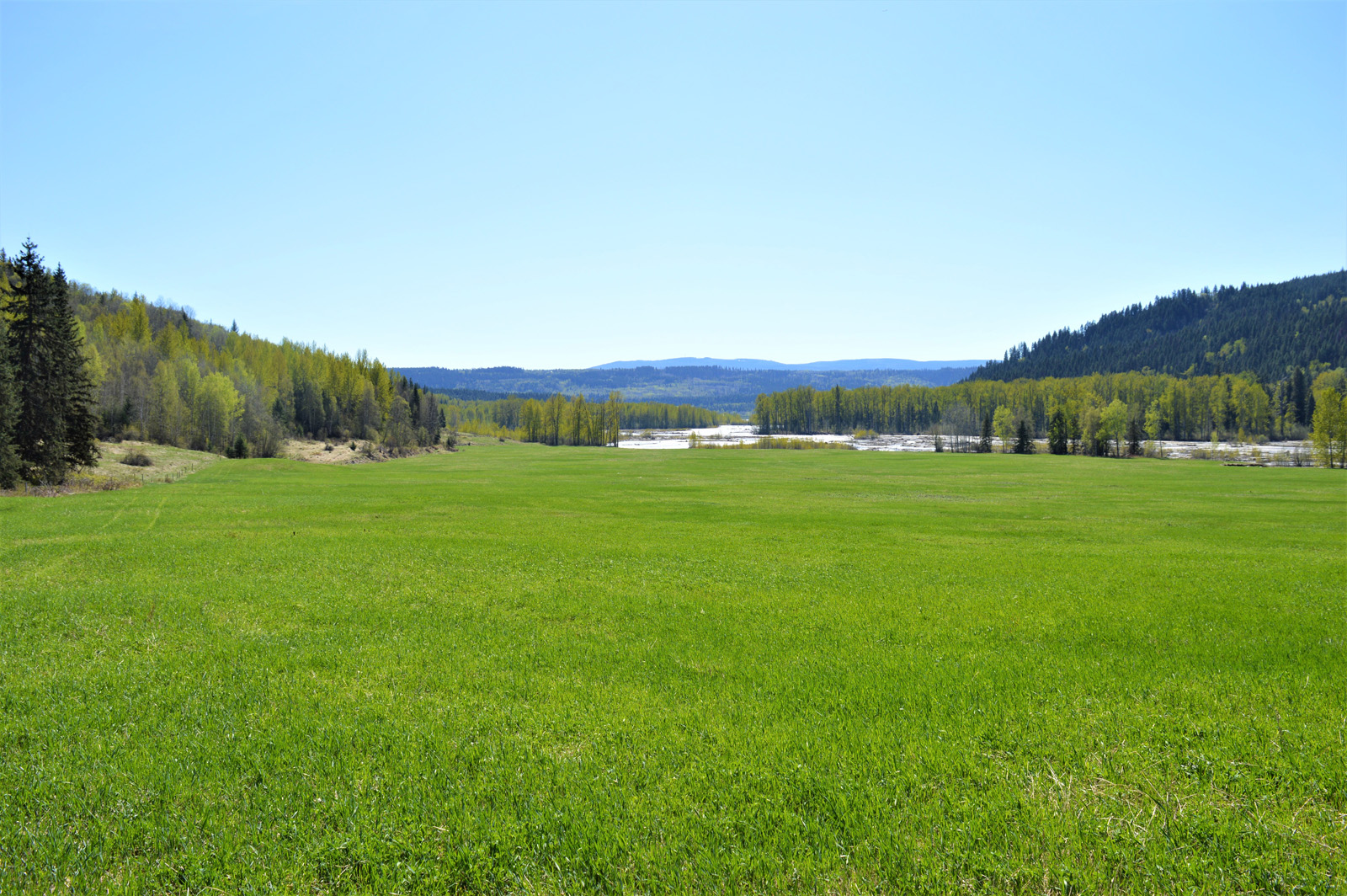 Riverfront Starter Ranch with Gold Claims Quesnel, BC LandQuest® Realty