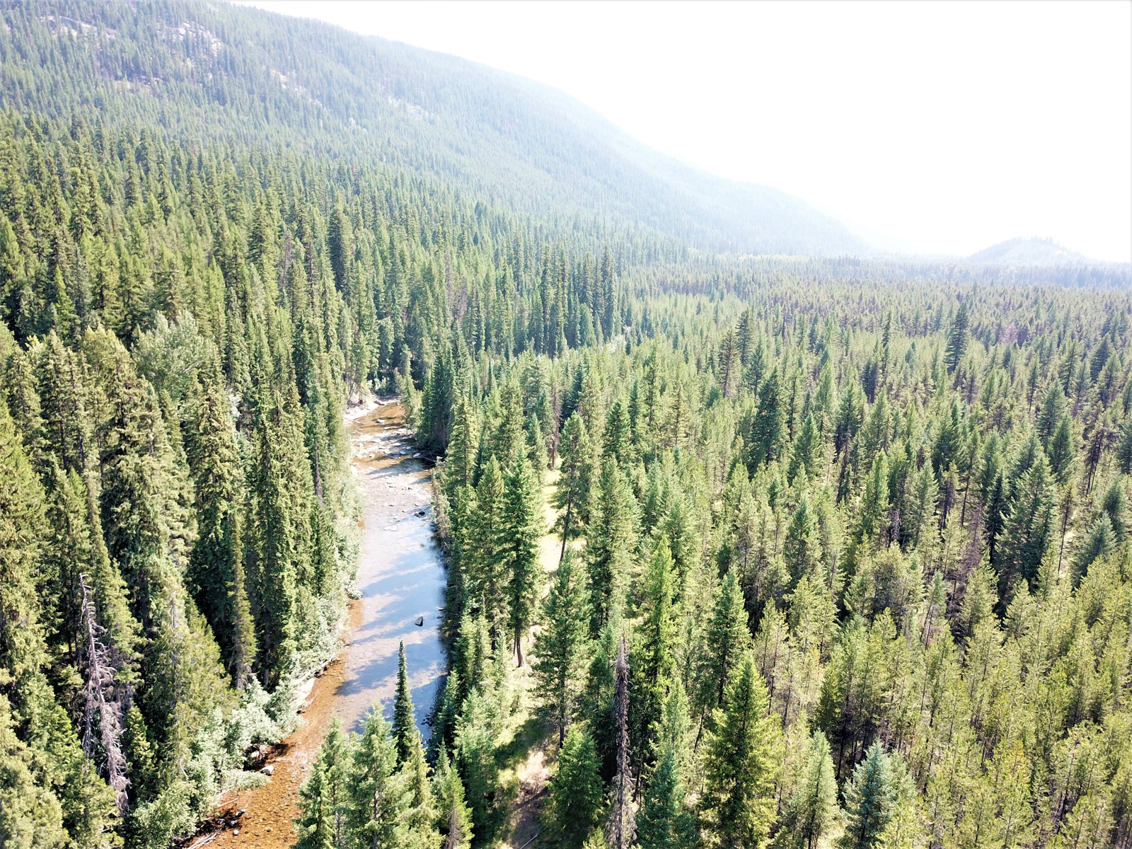 Edge of Wilderness Ranch Christian Valley, BC LandQuest® Realty