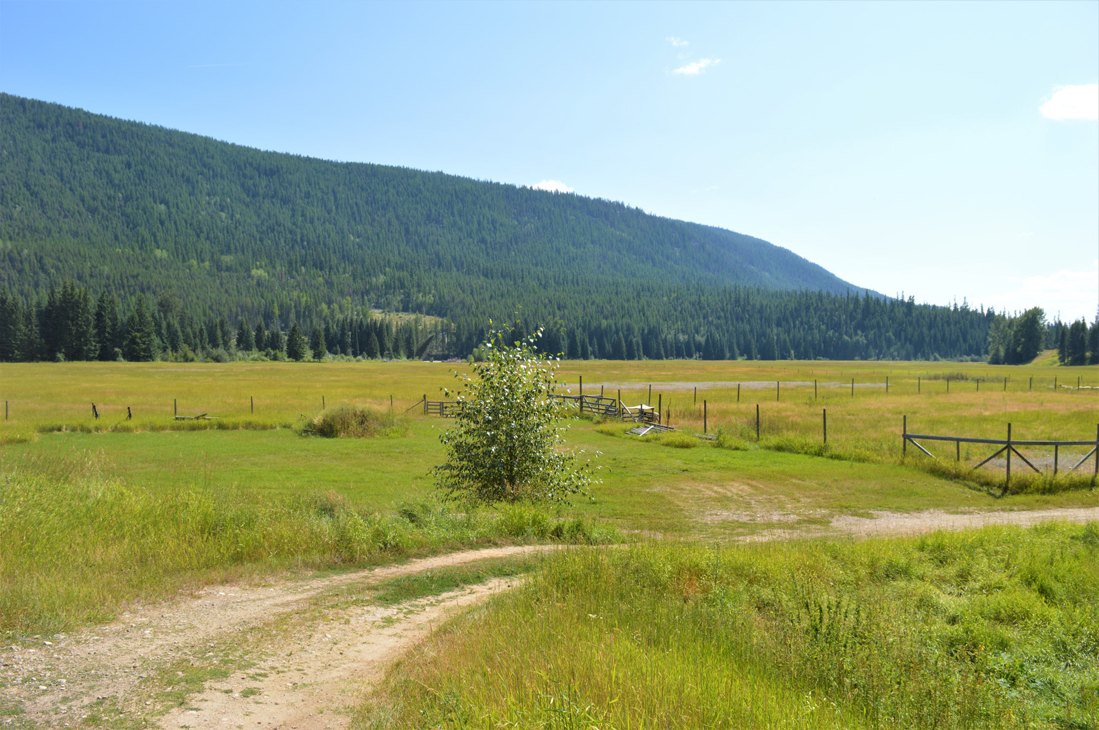 Edge of Wilderness Ranch Christian Valley, BC LandQuest® Realty