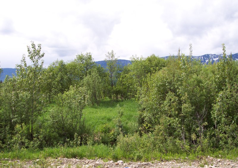 SemiRemote 137 Acres Penny, BC LandQuest® Realty