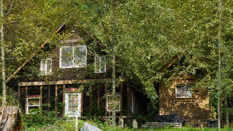 Cabin in the Woods - Cowichan Lake