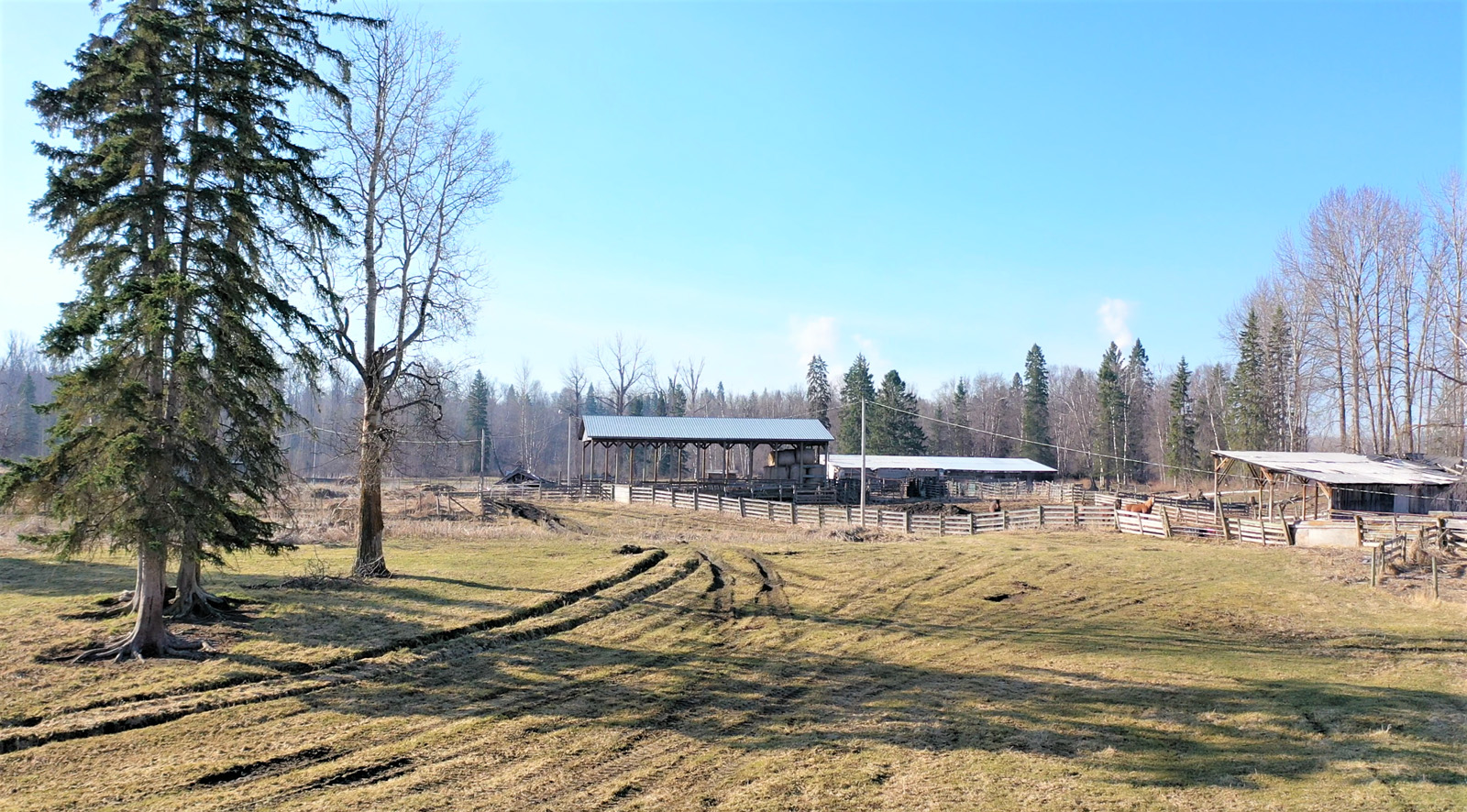 Picturesque 200Acre Riverfront Farm with Rich Fertile Soil and only 15