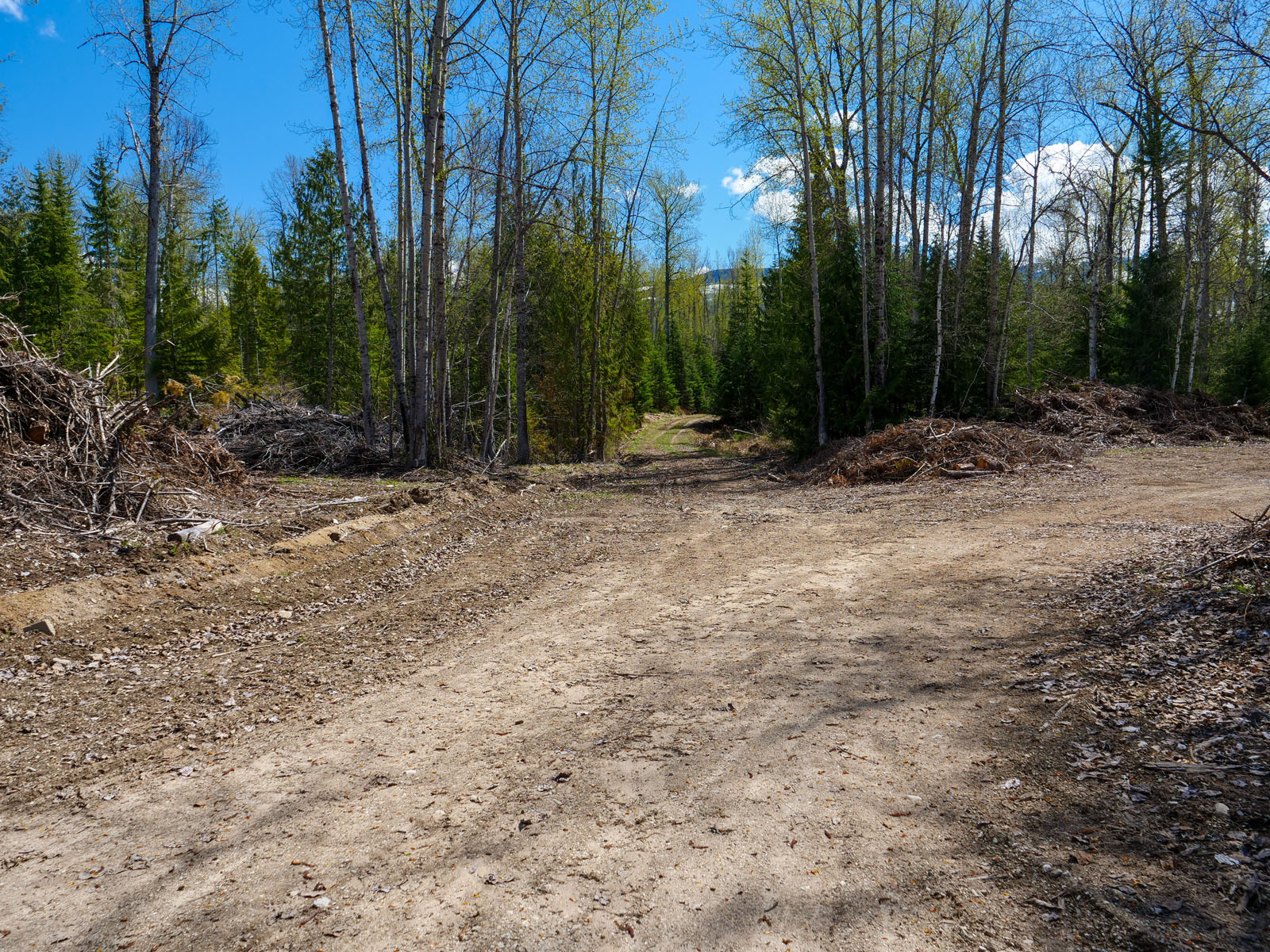 640 Acre Settlement Opportunity near Whatshan Lake Edgewood, BC
