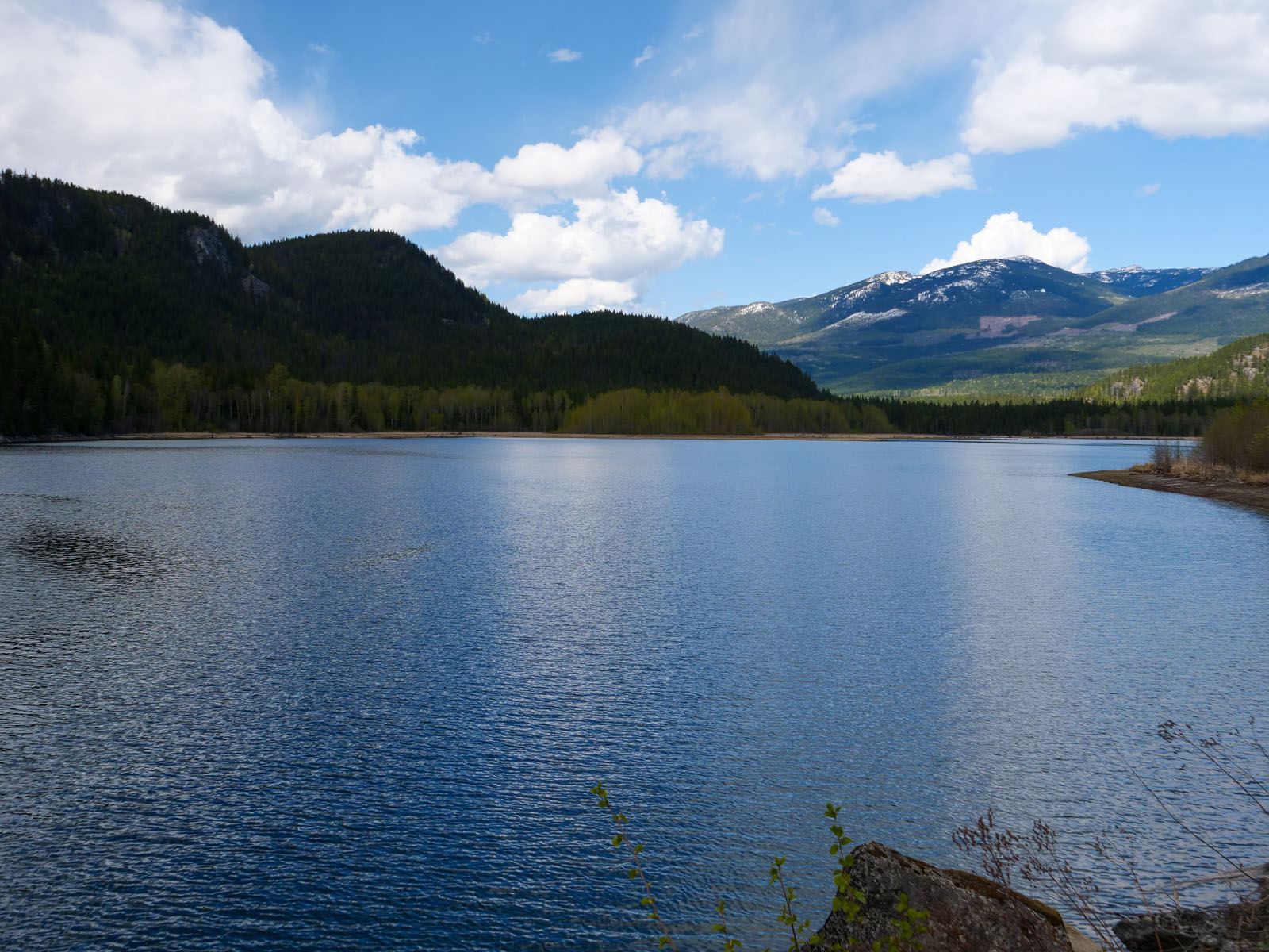 640 Acre Settlement Opportunity near Whatshan Lake Edgewood, BC