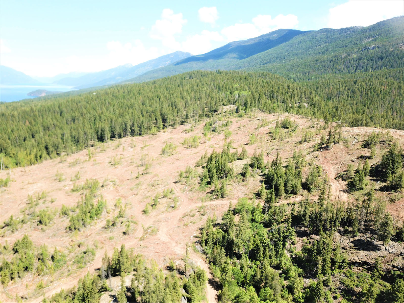 Large Lake View Acreage Kootenay Lake, BC LandQuest® Realty