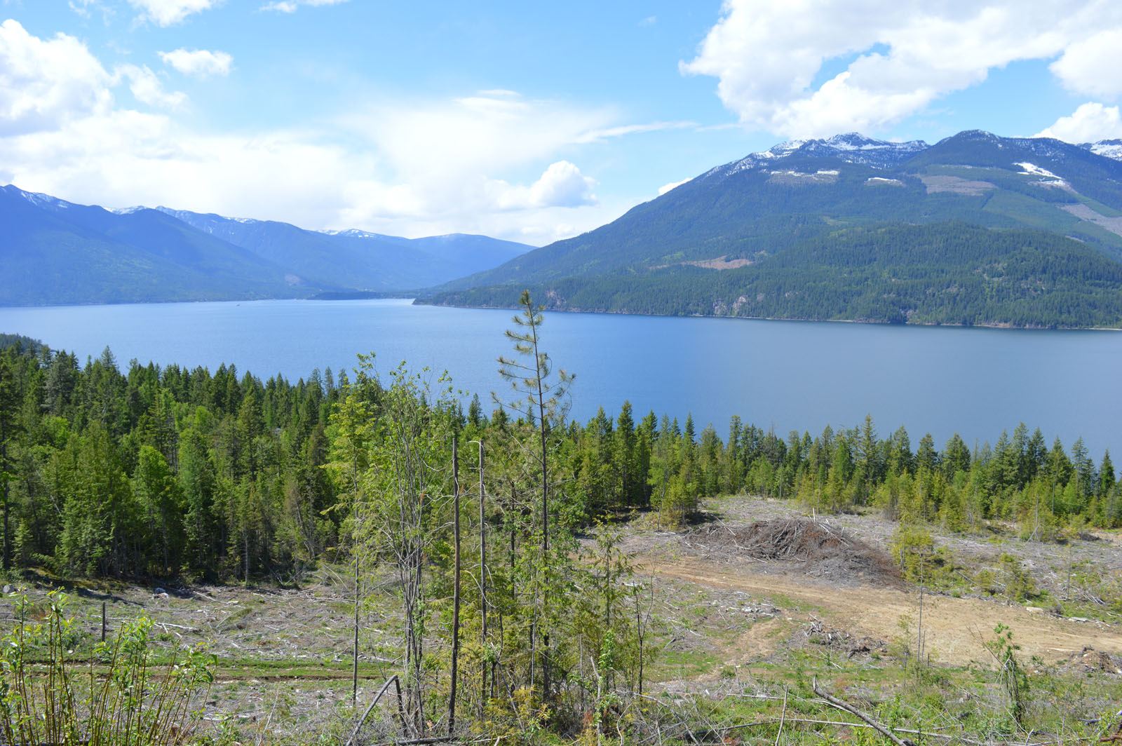 Large Lake View Acreage Kootenay Lake, BC LandQuest® Realty