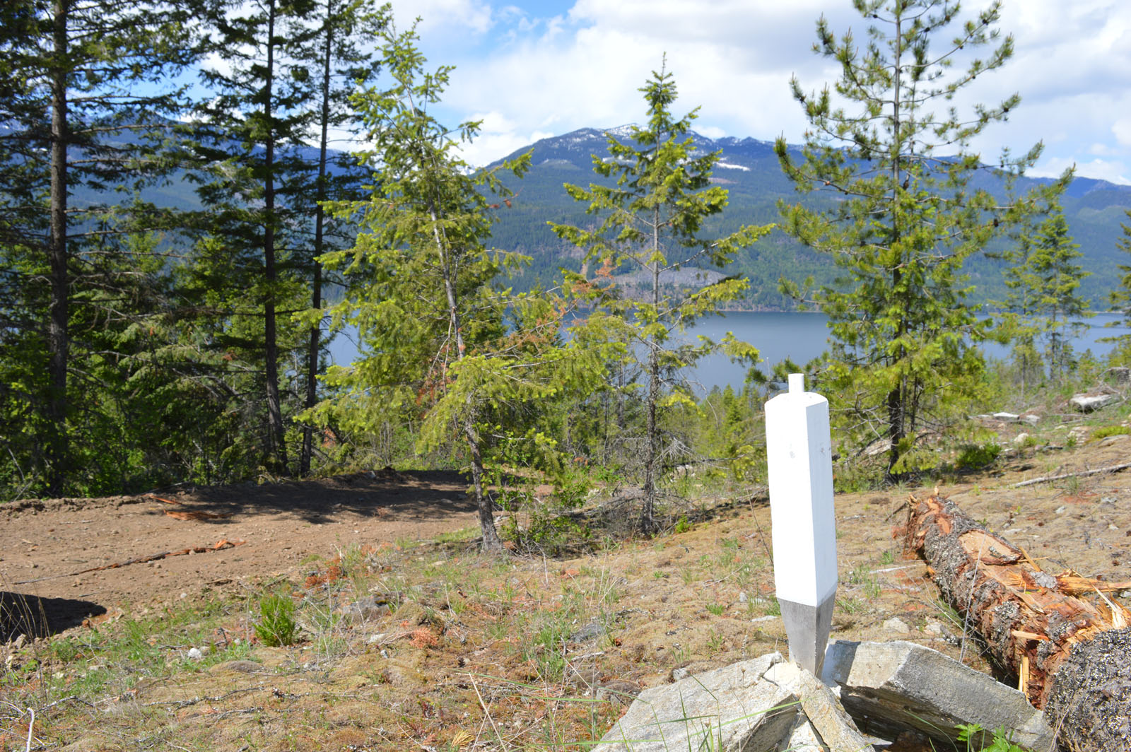 Large Lake View Acreage Kootenay Lake, BC LandQuest® Realty