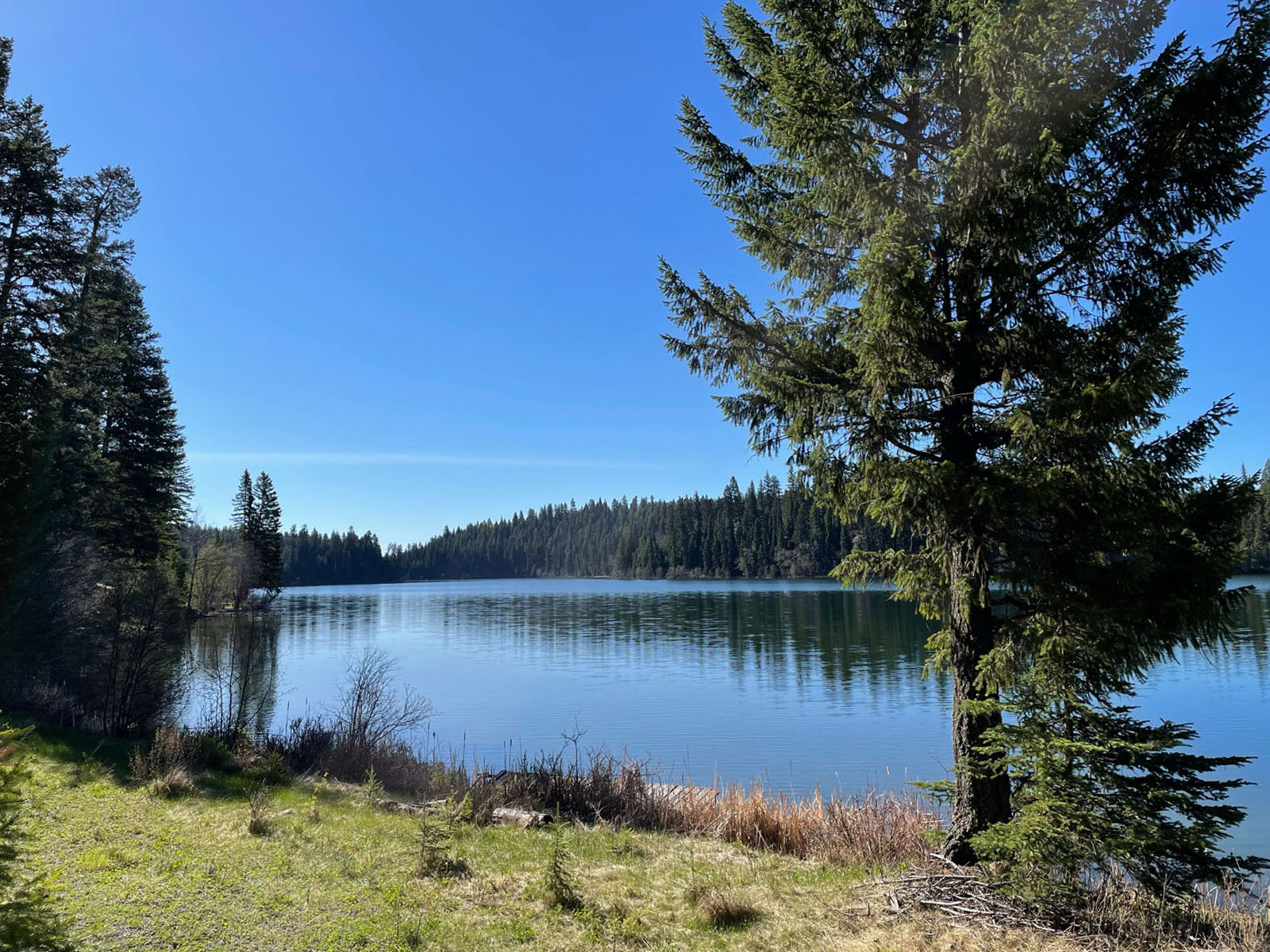 Rare Lakefront Property with 2 Cabins in the Heart of the Fishing