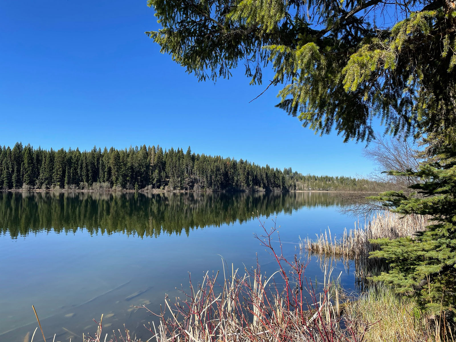 Rare Lakefront Property with 2 Cabins in the Heart of the Fishing Highway Fawn Lake