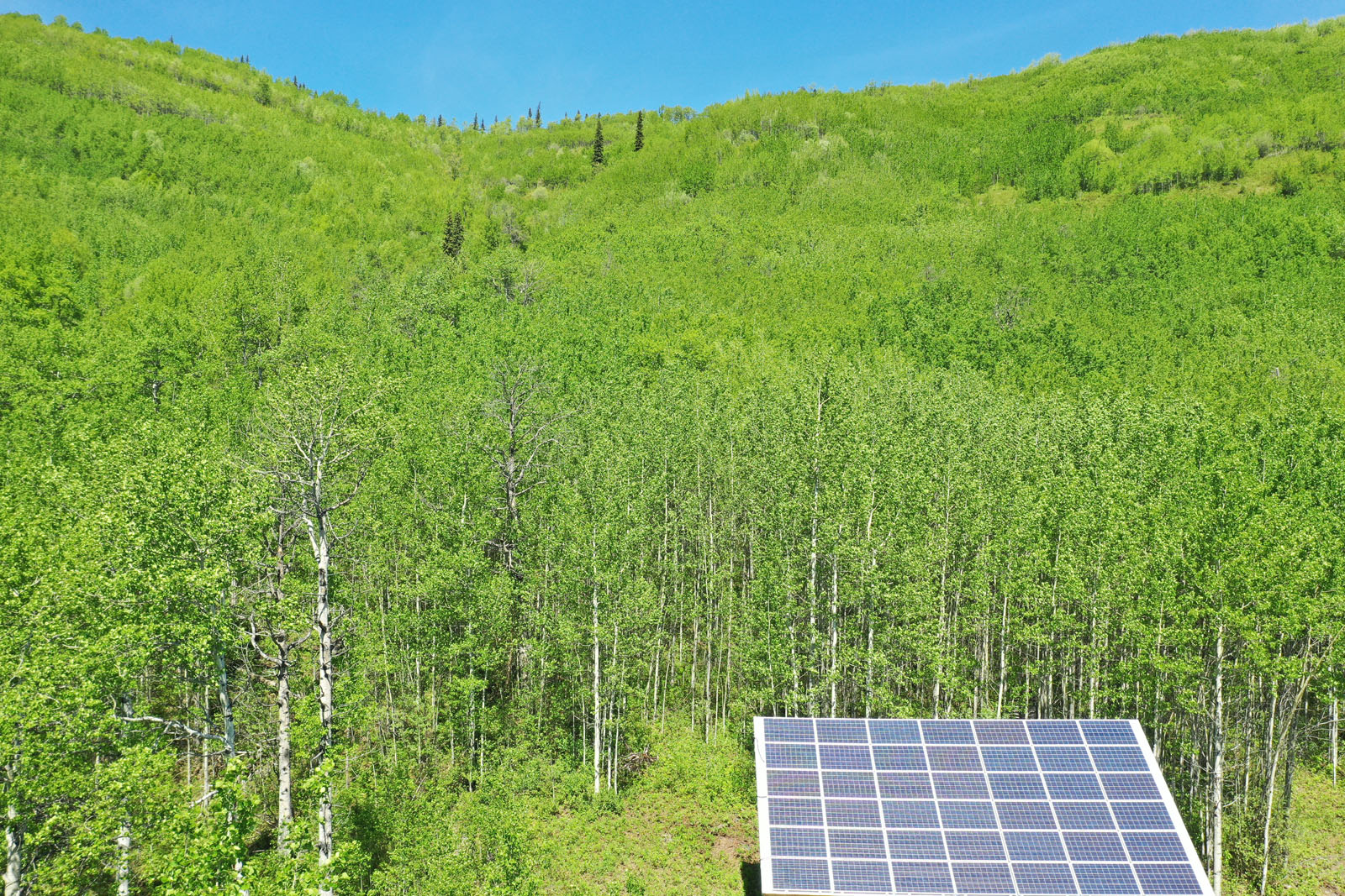 Recreational Cabin in the Woods with Lake Views and Adjacent Crown Land