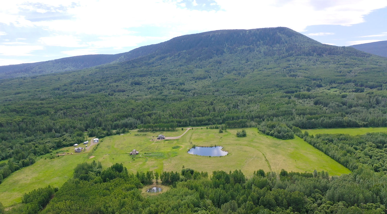 80 Acre Bucolic Farm with Country Home Lone Prairie, BC LandQuest