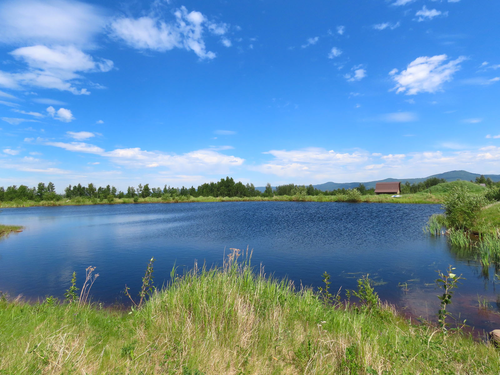 80 Acre Bucolic Farm with Country Home Lone Prairie, BC LandQuest