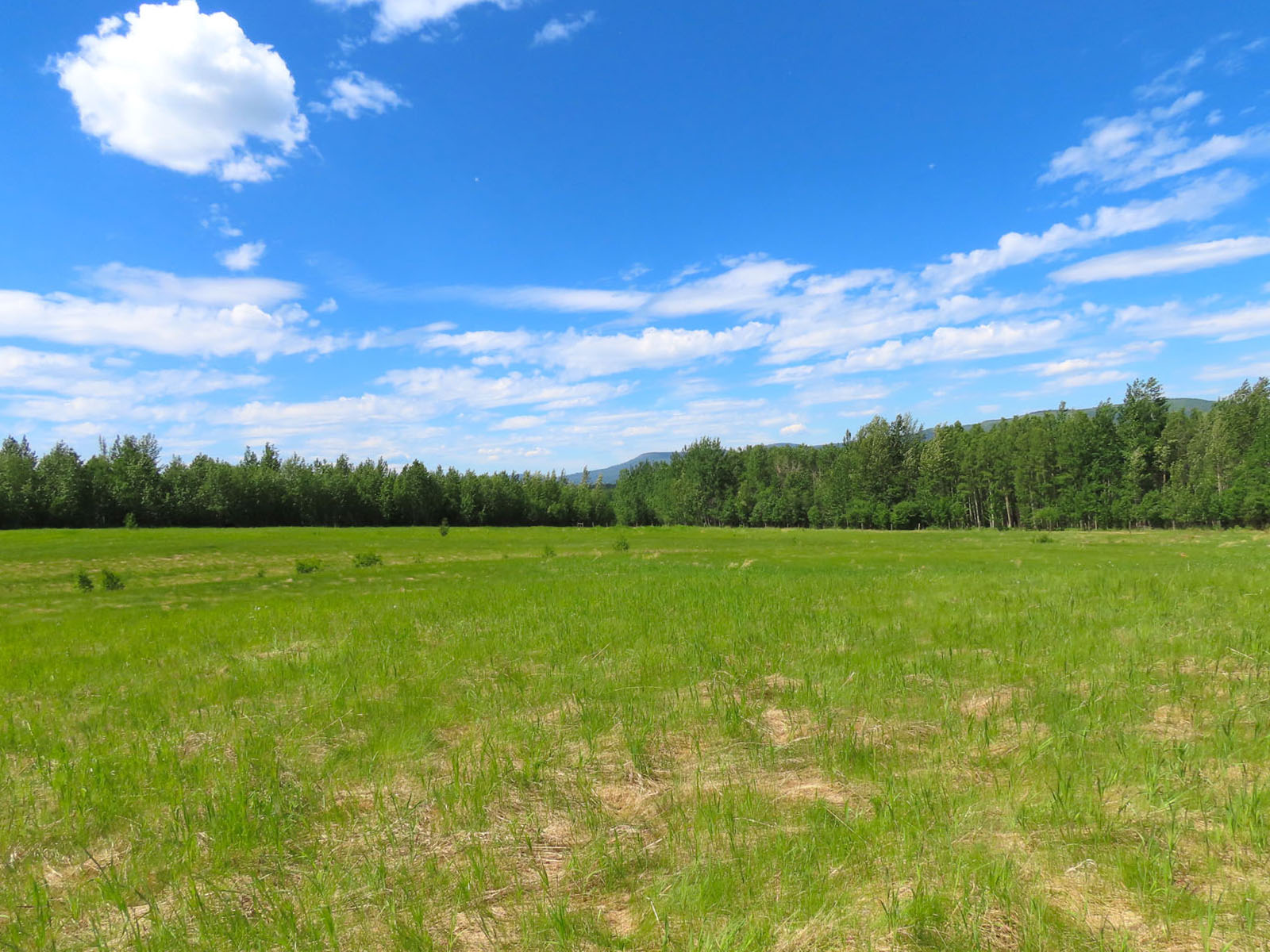 80 Acre Bucolic Farm with Country Home Lone Prairie, BC LandQuest