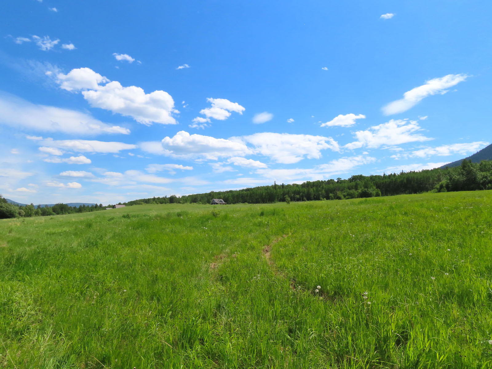 80 Acre Bucolic Farm with Country Home Lone Prairie, BC LandQuest