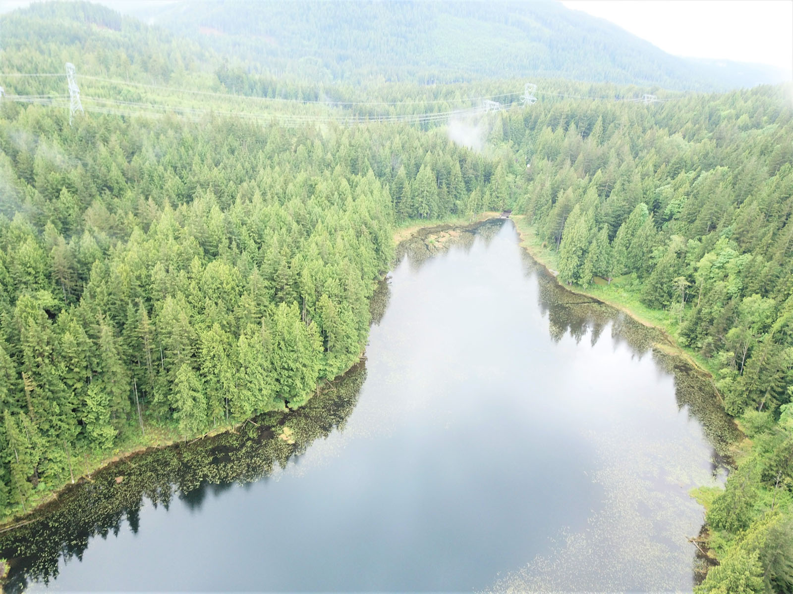 Trophy Estate and Nature’s Paradise with Private Lake Mission, BC