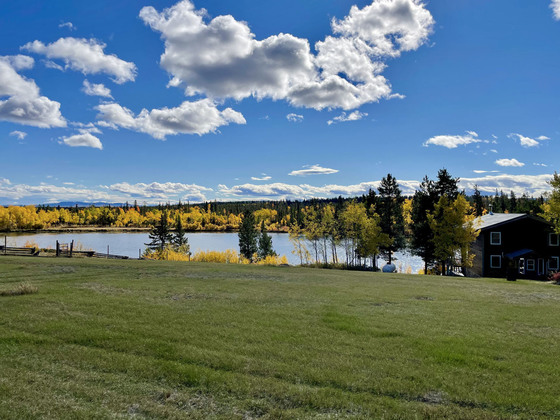 Thumb scum lake 02