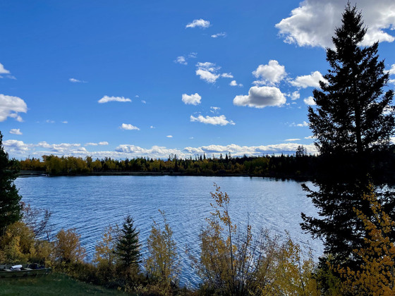 Thumb scum lake 08
