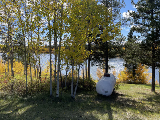 Thumb scum lake 34