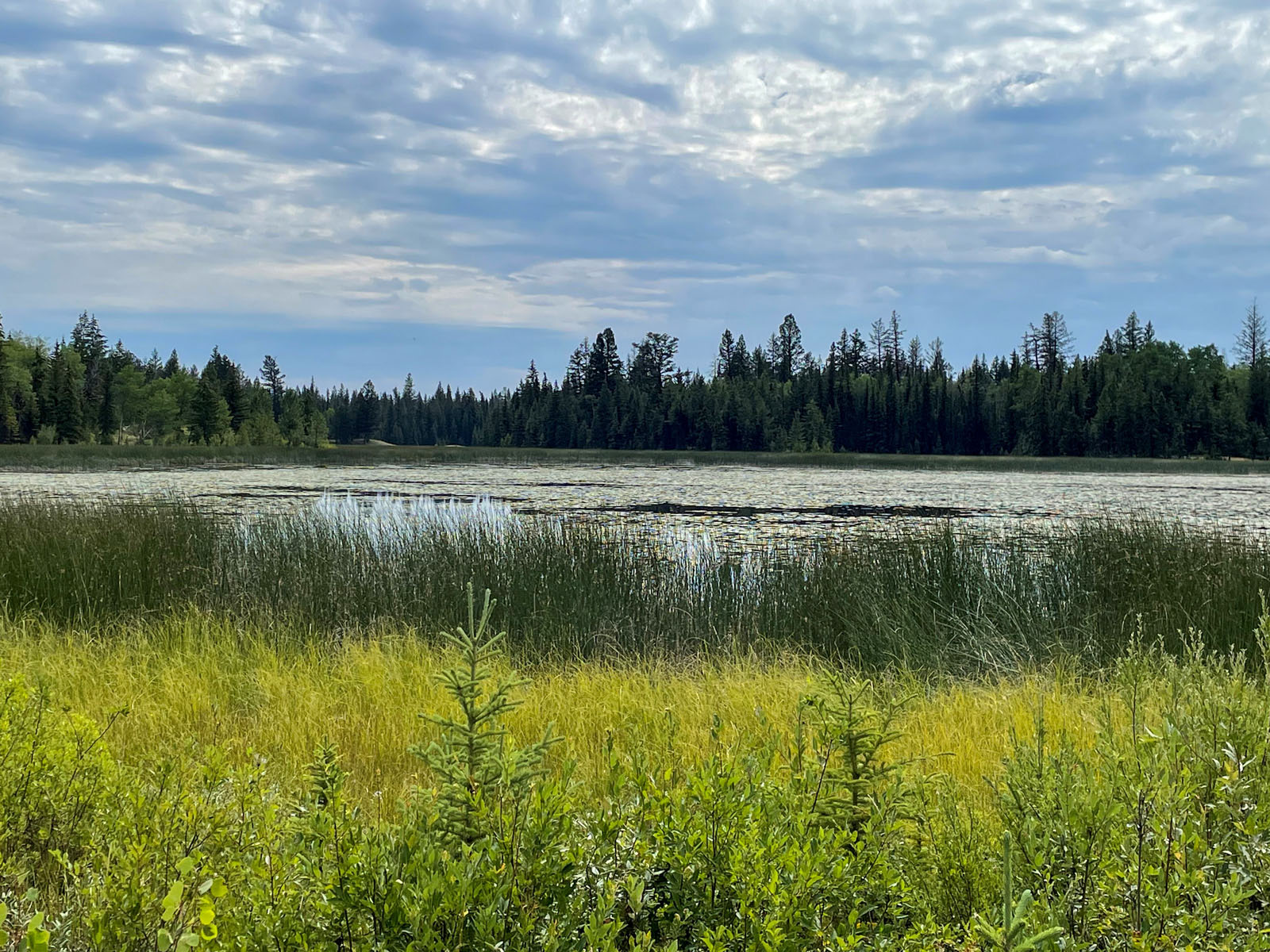 OffGrid Backcountry Acreage on Small Lake 70 Mile House, BC LandQuest® Realty