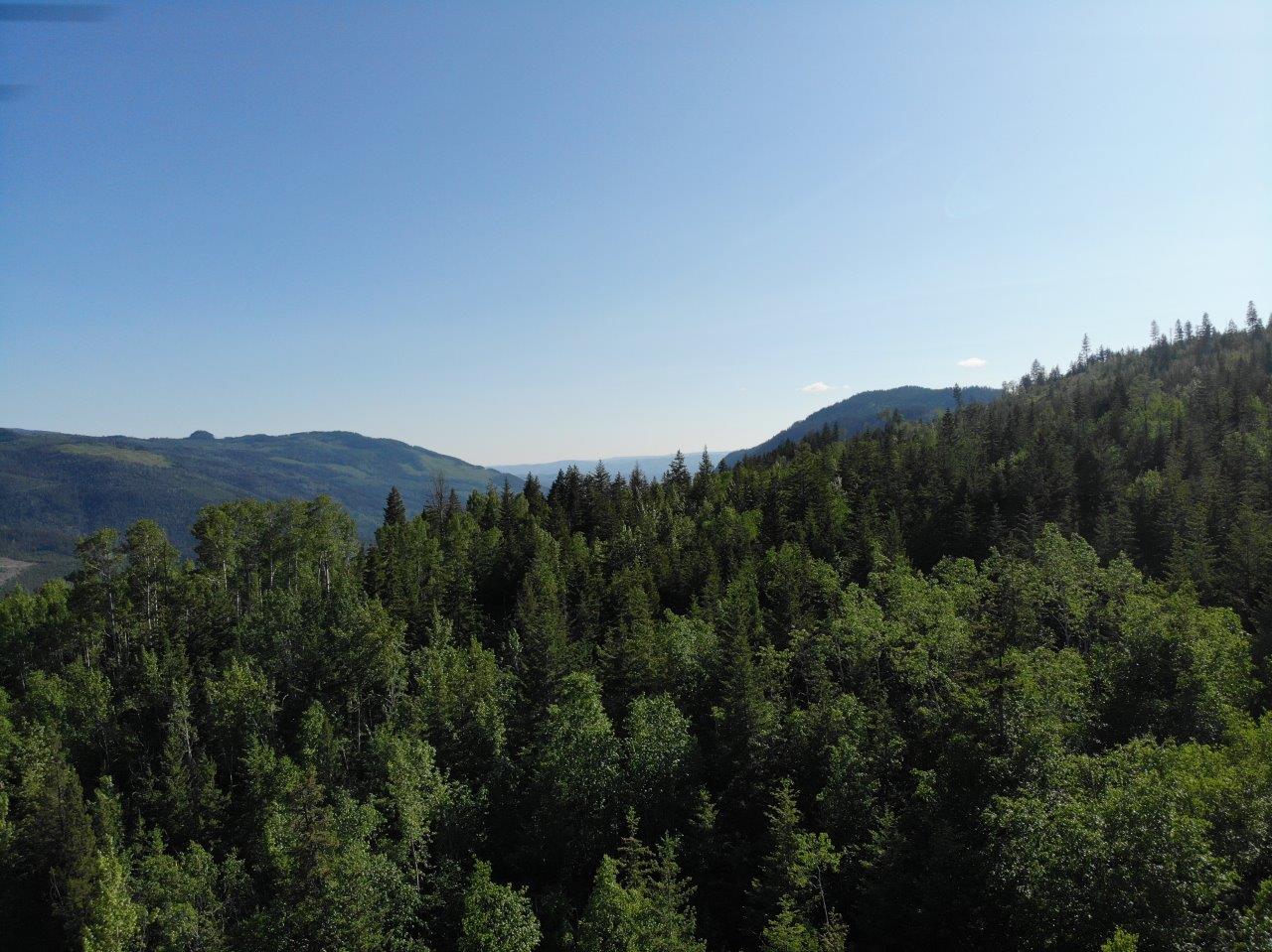 Forested OffGrid Acreage with Multiple Creeks Barriere, BC