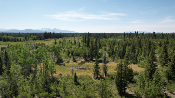 Commercial Lot with Highway Frontage - Nimpo Lake, BC